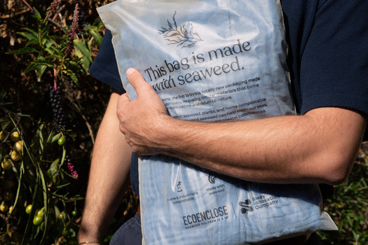 Compostable packaging made from seaweed or food waste is a more sustainable alternative to plastic wrappers and foam. (Sway)